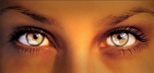 Чужая жизнь под микроскопом - Никольская Алёна_0.jpg